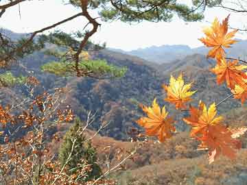 澳門一碼一碼100準(zhǔn)確,性質(zhì)解答解釋落實(shí)_影像版31.997