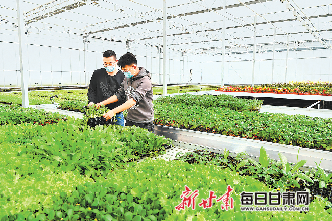 治理培育，構建可持續(xù)發(fā)展的未來之路