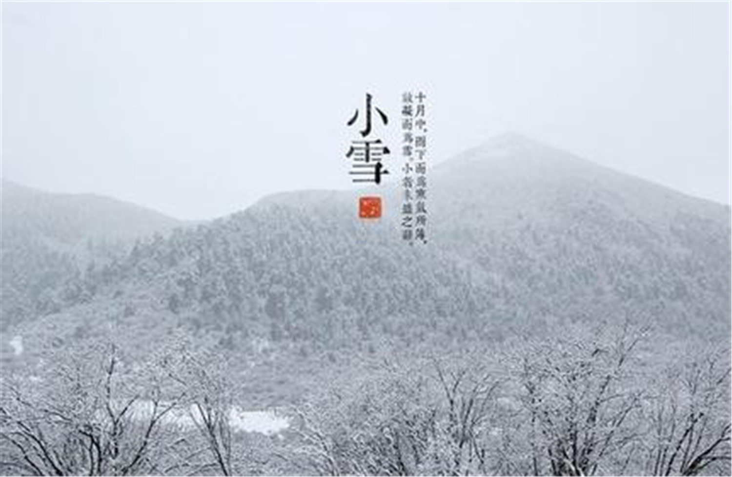 小雪節(jié)氣，探尋節(jié)氣文化與自然奧秘的旅程