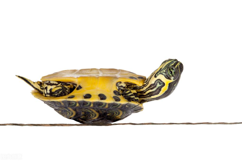 從問題發(fā)現(xiàn)到解決，全面有效的路徑探索