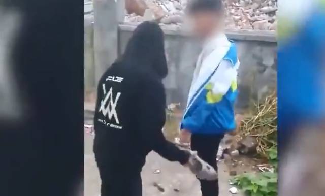 官方通報學生校外遭蒙頭毆打事件，深度剖析與反思