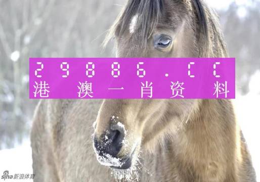 新澳門精準(zhǔn)一碼100%無誤，詳盡資料解析_精選PBJ184.48版