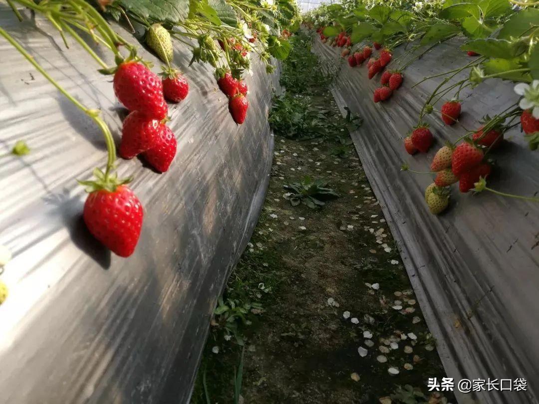 上海養(yǎng)護(hù)院極端管理問題曝光，被遺忘的豬圈式房間