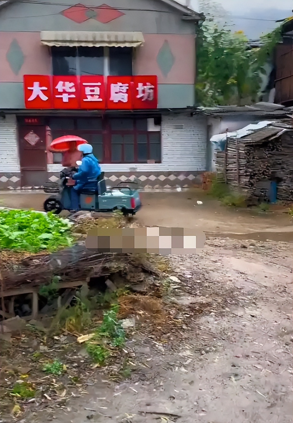 東北雨姐粉條廠家遭遇停產(chǎn)停業(yè)困境，引發(fā)深思