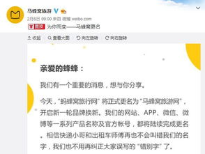被封號博主大藍的全倉炒股建議與警示，風險考量與啟示