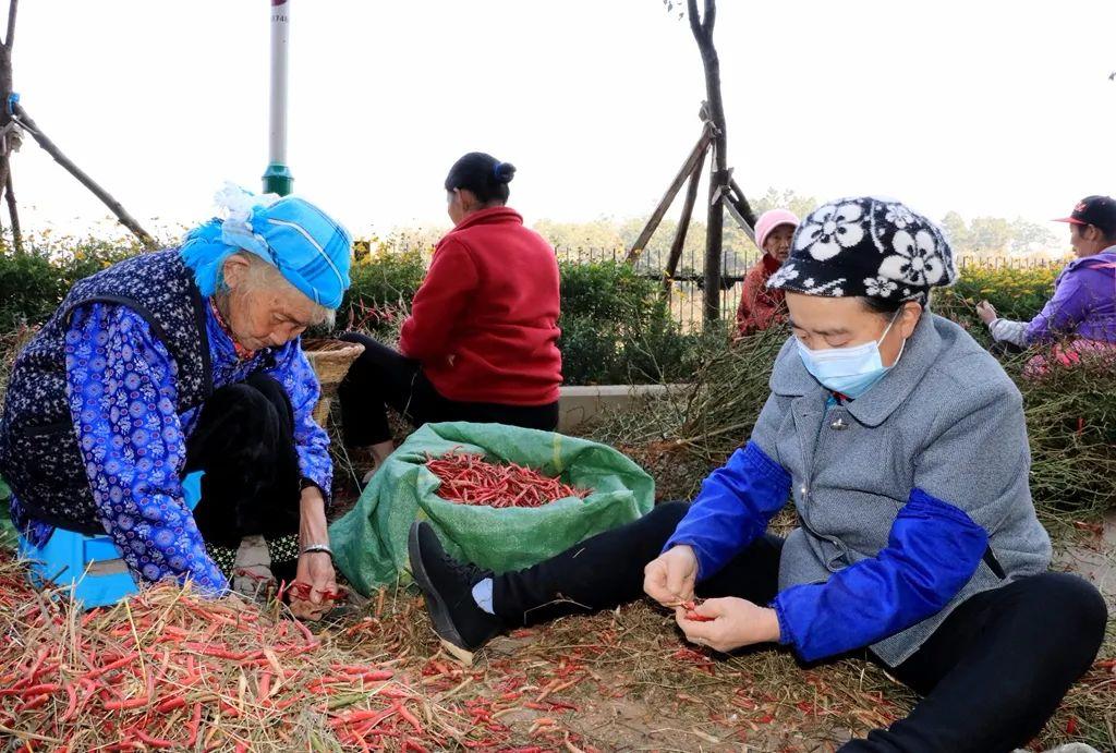 宣威最新招聘信息匯總與探討