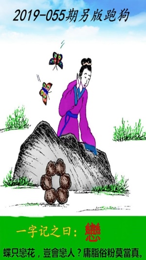 探索運(yùn)動(dòng)魅力與背后故事的最新跑狗圖揭秘！