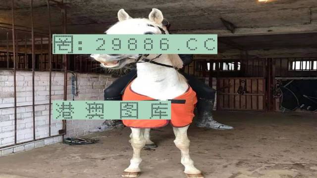 香港正版跑狗自動(dòng)更新,功率解答解釋落實(shí)_MT15.427