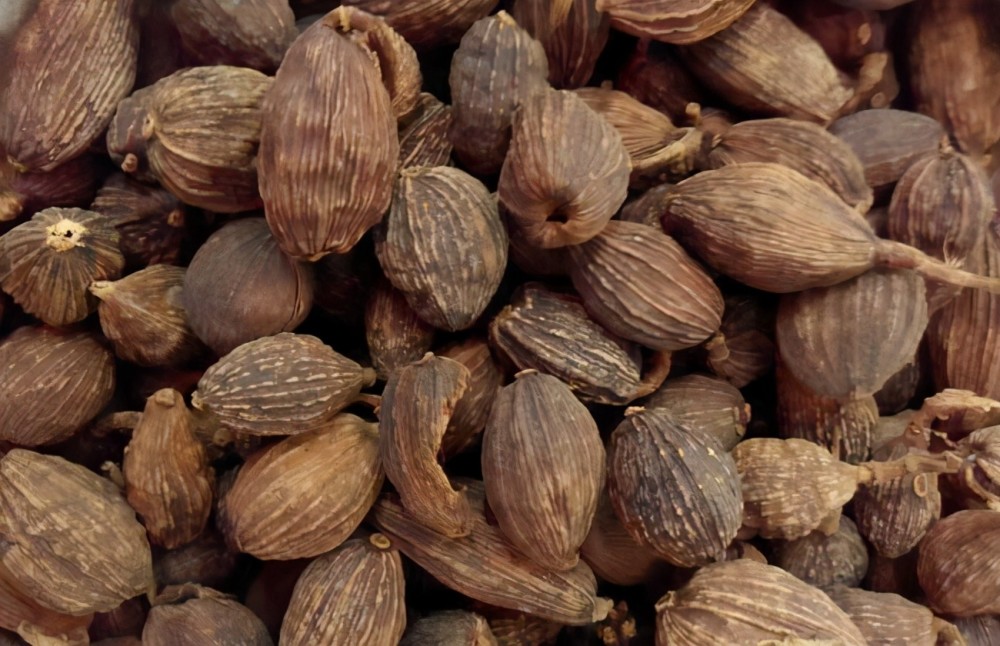 草果最新價(jià)格及動(dòng)態(tài)分析概述