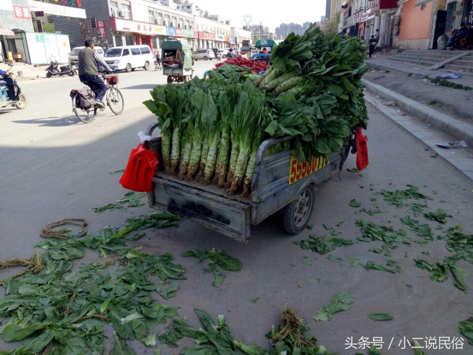 萵筍價格最新行情及分析