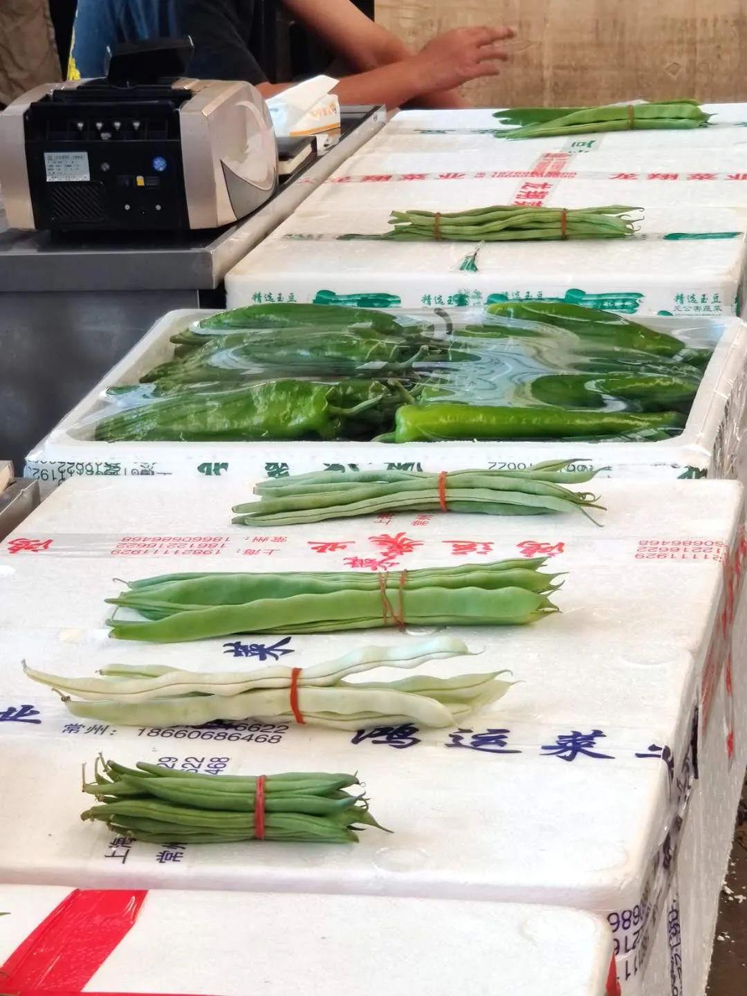 香菜價(jià)格最新行情及分析