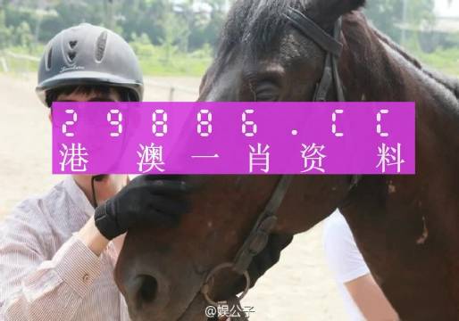 今晚澳門必中一肖一碼,深邃解答解釋落實_交互版89.047