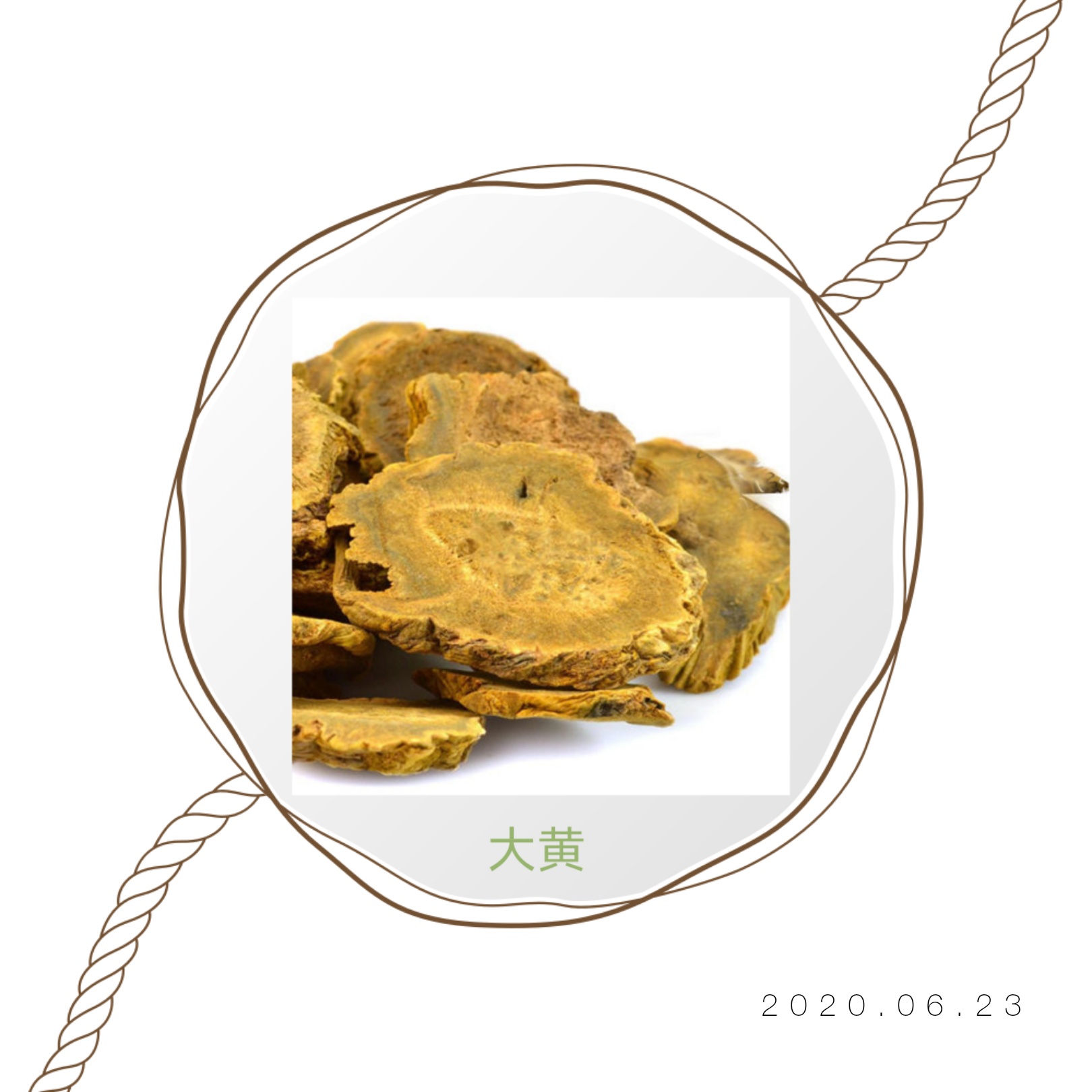 探索互聯(lián)網(wǎng)的新疆界，最新大黃網(wǎng)站的崛起與影響