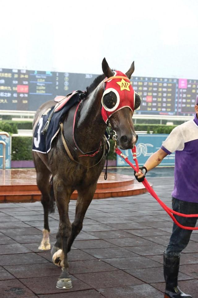 今晚澳門馬出什么特馬,投資決策會資料_殘奧會CBR57.32.42