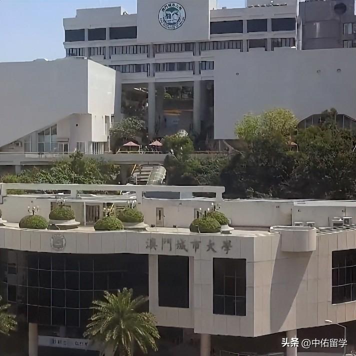 2024澳門天天開(kāi)好彩大全下載,實(shí)話實(shí)說(shuō)綜合評(píng)判_81.78.79歐洲杯