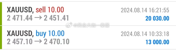 新澳2024年精準(zhǔn)一肖一碼，深層設(shè)計(jì)解析策略_Holo51.77.71