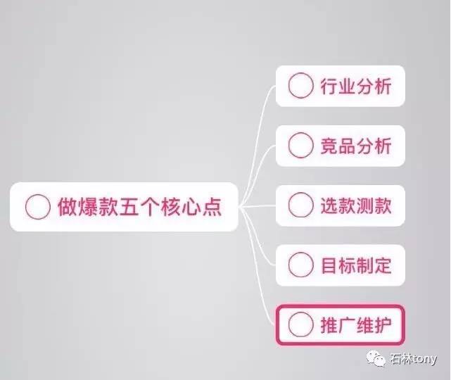 精準一肖一碼秘訣揭秘：安全設(shè)計策略詳解_持續(xù)版SMR306.74