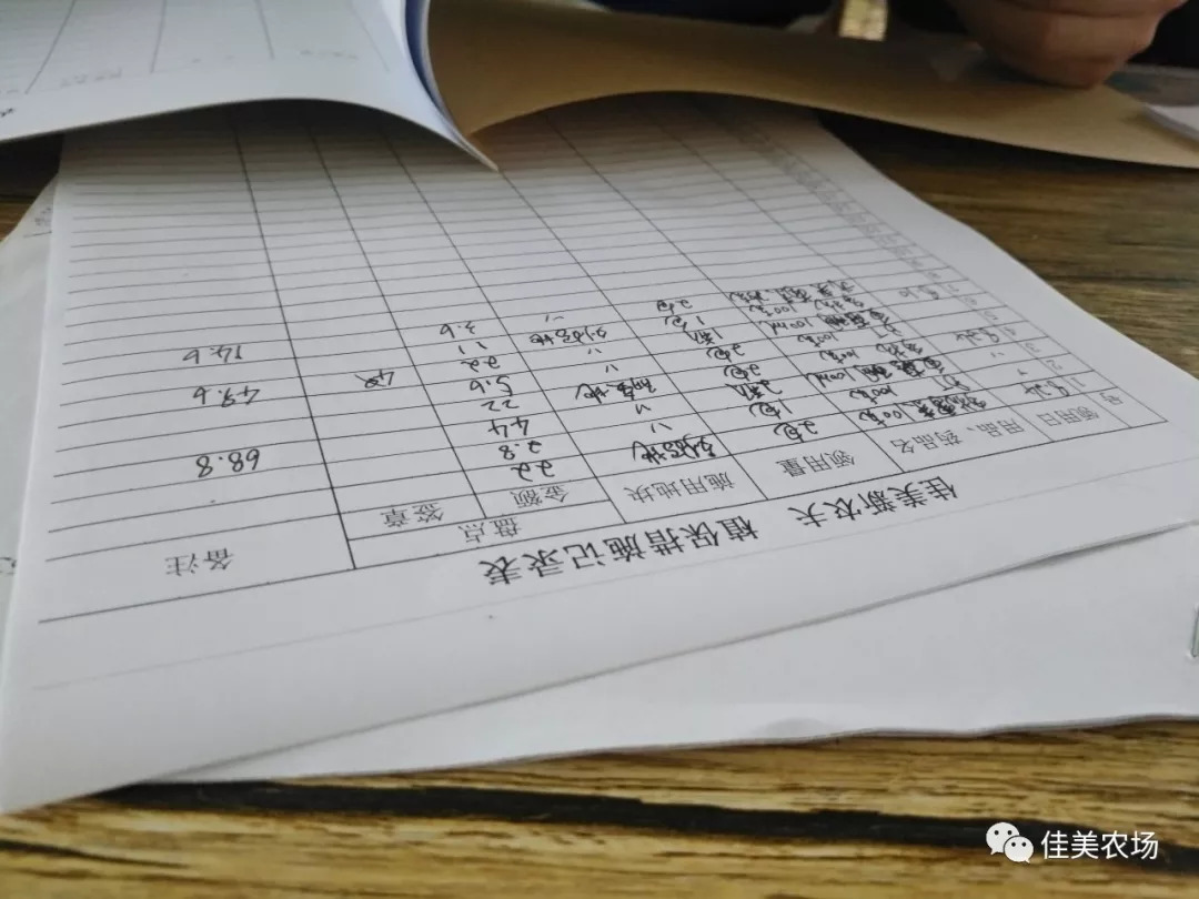 管家婆精準(zhǔn)一碼一肖，安全策略評估方案動(dòng)態(tài)版UWJ487.85