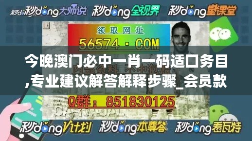澳門一肖中必準，素材動態(tài)攻略解析_迷你版ARB352.1