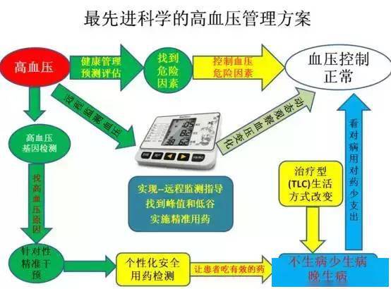 新奧版精準特安全策略揭秘：RMT463.59個性版深度解析
