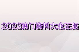 2023管家婆正版資料集澳門詳釋，MEW371.91激勵(lì)版解析