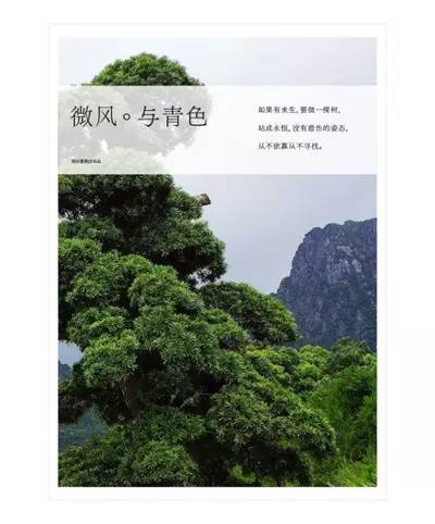 澳門正版資料大全免費，鬼谷子解析與創(chuàng)新措施_MUD4.70.84獨創(chuàng)新版