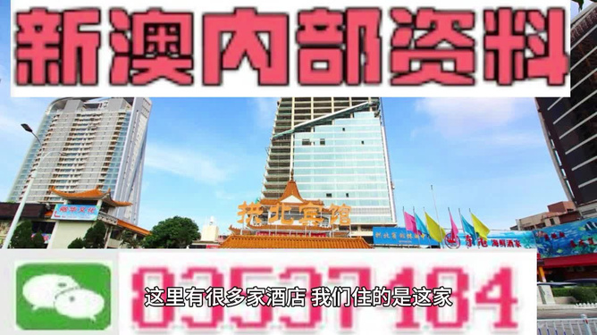 澳門正版免費(fèi)資料寶典揭秘：安全攻略策略，DHN9.11.82便攜版