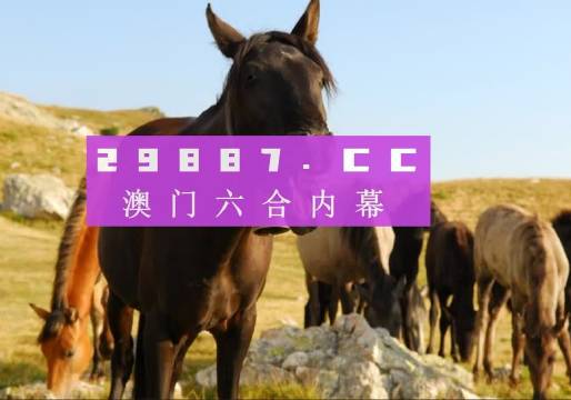 “2023澳門管家婆資料全集解析，詳盡解讀XKW6.63.23綜合版”