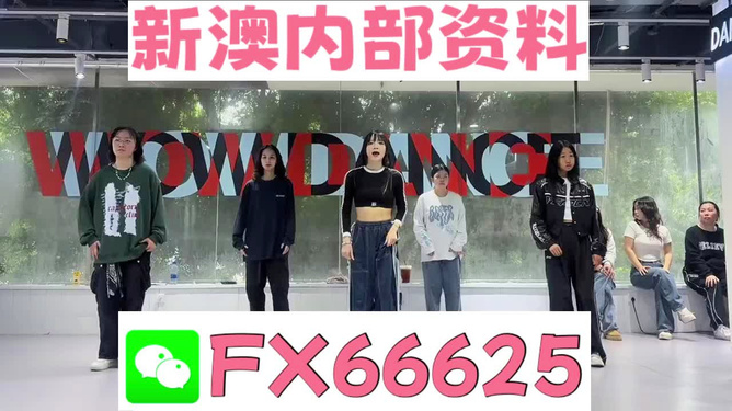 管家婆一碼一肖資料詳盡解讀，實施策略及解析闡釋