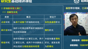 “澳彩免費資料庫：WWE全解析，ROF3.61.26版本詳解”