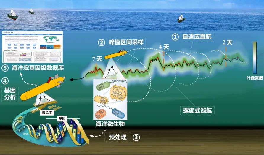 新奧門(mén)特7456免費(fèi)資源庫(kù)，科技創(chuàng)新驅(qū)動(dòng)，船舶界面VXH6.63.36版