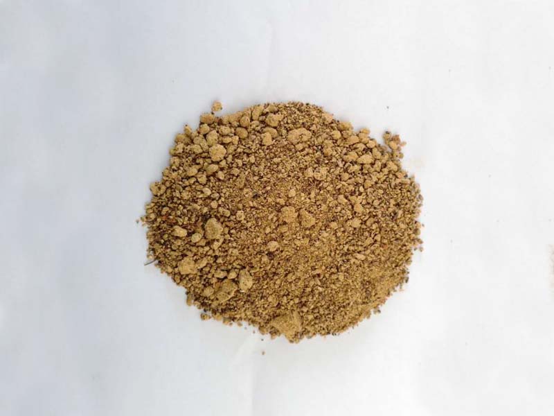 棉粕最新價(jià)格動(dòng)態(tài)分析與趨勢(shì)預(yù)測(cè)
