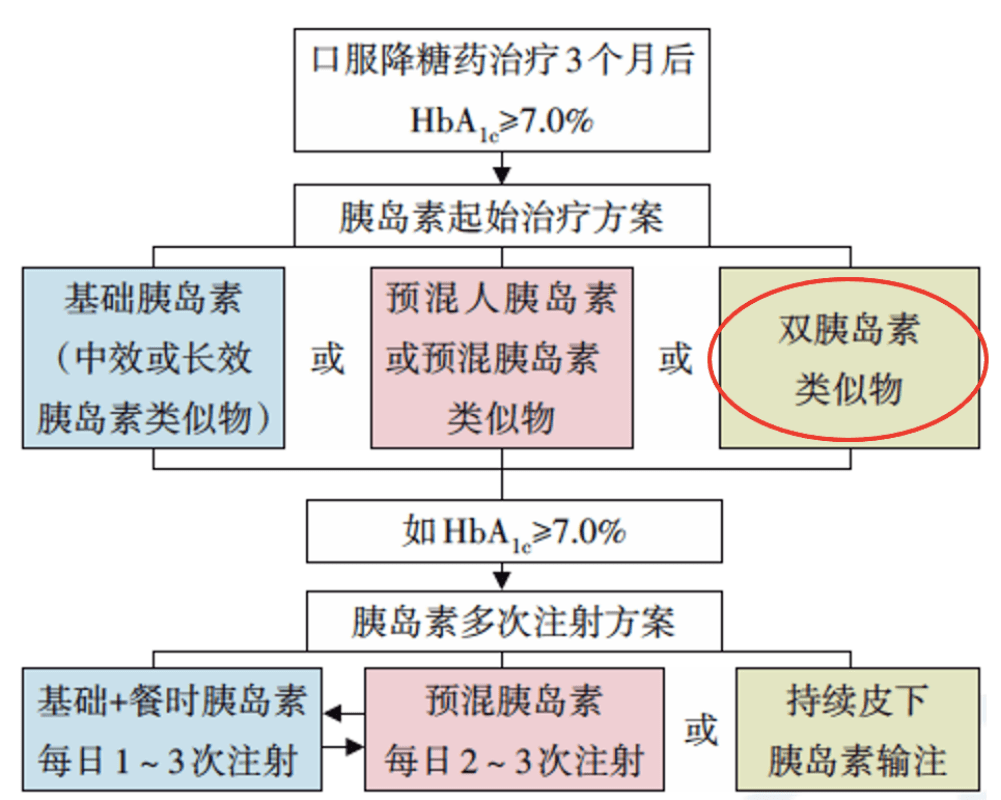 2024澳新正版資料詳解，權(quán)威解答及實(shí)施指南_XMH8.74.89極速版