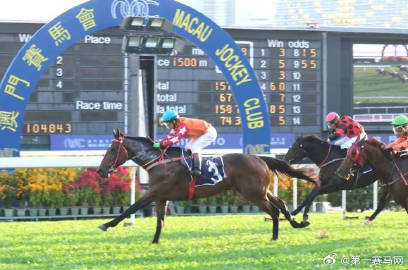 2024澳門特馬開獎(jiǎng)揭曉：93號(hào)馬，F(xiàn)RY2.33.90趣味版數(shù)據(jù)觀察