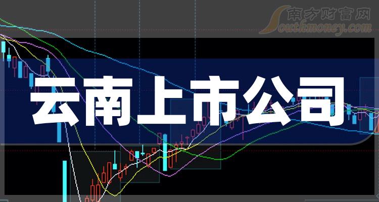 南云公司，上市公司的卓越之路探索