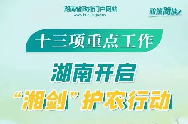 棗陽(yáng)最新司機(jī)職位招聘解析與動(dòng)態(tài)速遞