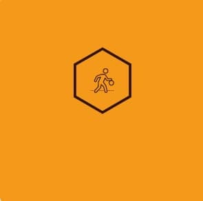 保定小麥價(jià)格最新動(dòng)態(tài)及分析簡(jiǎn)報(bào)