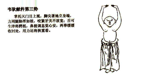 易筋經(jīng)最新章節(jié)深度解析與探討