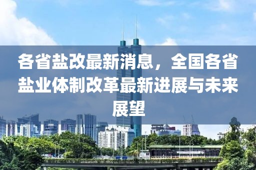 鹽業(yè)改革最新動態(tài)，引領行業(yè)變革的革新消息