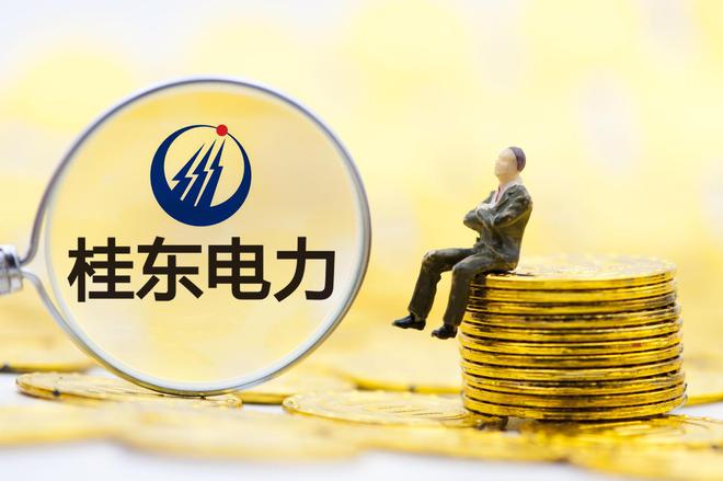 桂東電力最新動態(tài)全面解讀