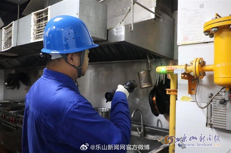 樂山電力引領(lǐng)綠色能源轉(zhuǎn)型，助力地方經(jīng)濟發(fā)展新動態(tài)