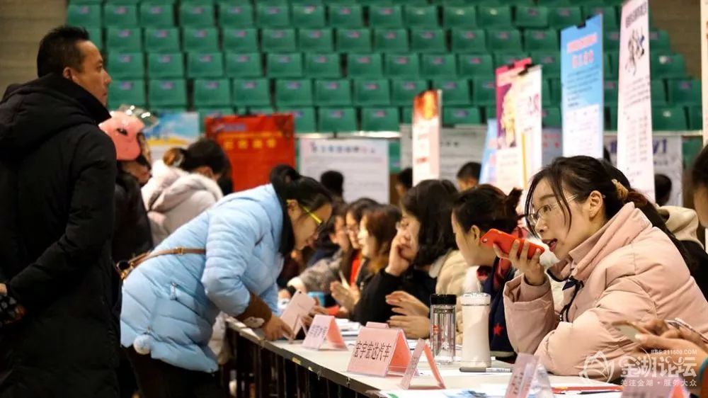 金湖縣最新招聘信息全面概覽