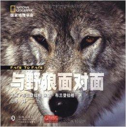 野狼最新動(dòng)態(tài)揭秘，探索自然之王的神秘面紗