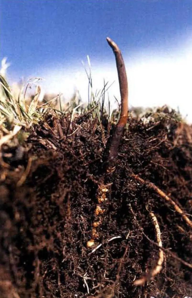 重塑性別認知與自我接納的力量，探索最新雙性話題的挑戰(zhàn)與啟示