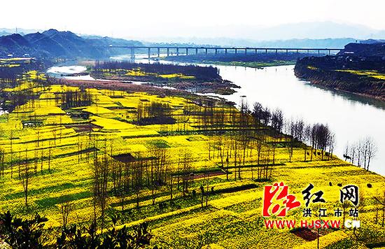 安江最新消息全面解讀與分析