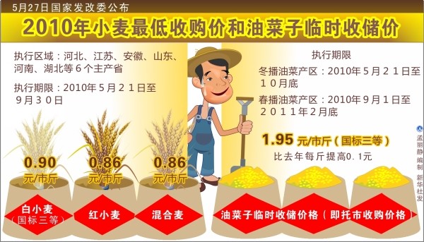 濟(jì)寧小麥價(jià)格最新行情及分析概覽