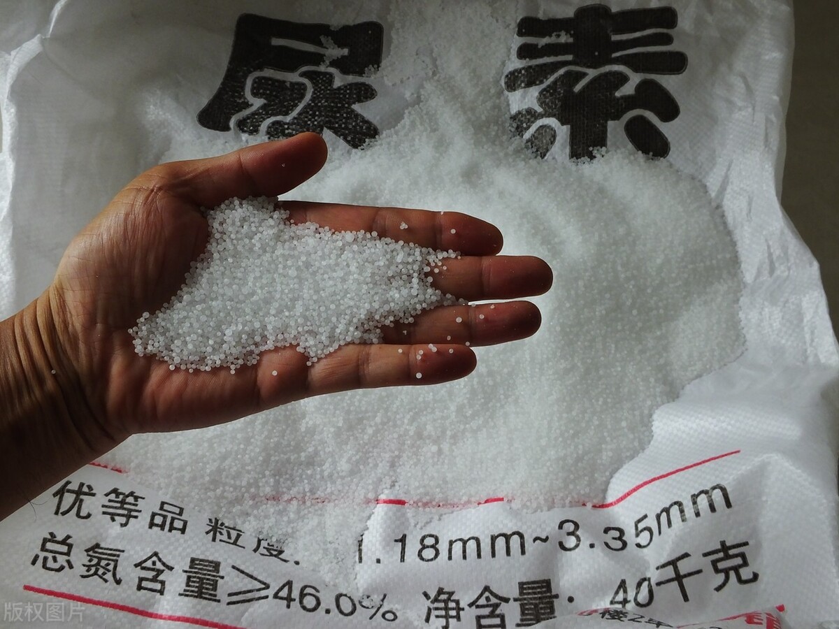 尿素市場最新價格動態(tài)及分析摘要