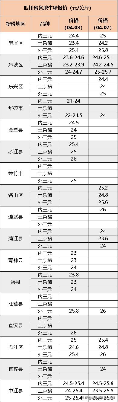 最新肉雞行情分析與概覽