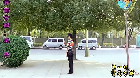 高安子君最新廣場舞，展現(xiàn)生活魅力與活力的源泉