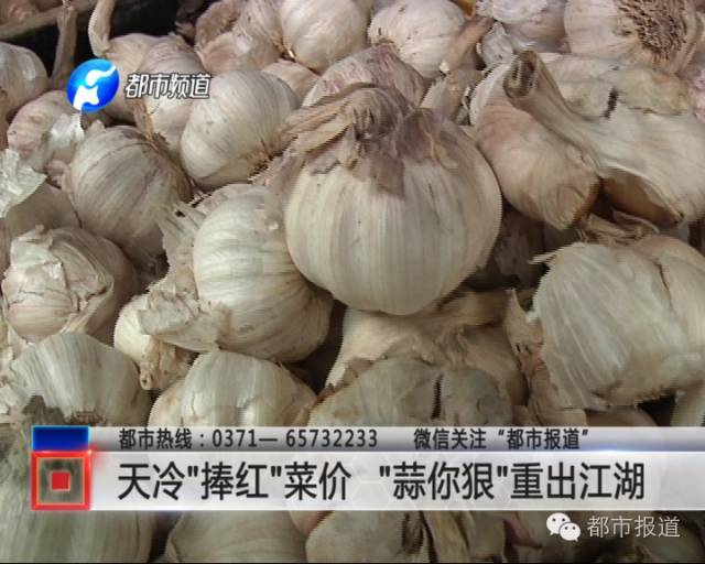 河南大蒜最新價格動態(tài)分析與趨勢預測
